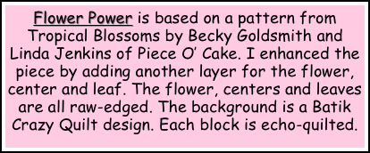 Flower Power is based on a pattern from Tropical Blossoms by Becky Goldsmith and Linda Jenkins of Piece O’ Cake. I enhanced the piece by adding another layer for the flower, center and leaf. The flower, centers and leaves are all raw-edged. The background is a Batik Crazy Quilt design. Each block is echo-quilted.